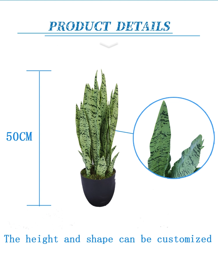 All Types of Sansevieria Plants Agave Prices High Quality Artificial Bonsai