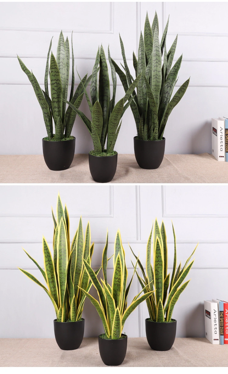 Table Decoration Plastic Sansevieria Snake Plant with Pot for Sale