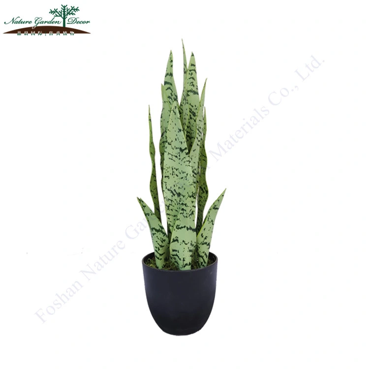 High Quality Indoor Sansevieria Laurentii Plant Shop, Hotel Artificial Tree Bonsai