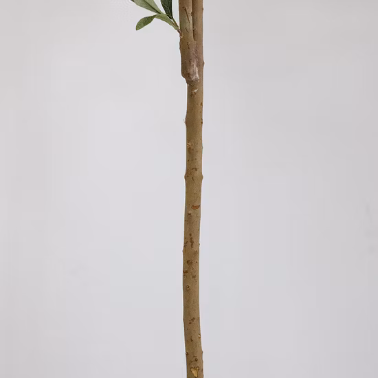 Erevgreen Decorazione per interni Ramo di legno Pianta artificiale in plastica Ulivo artificiale